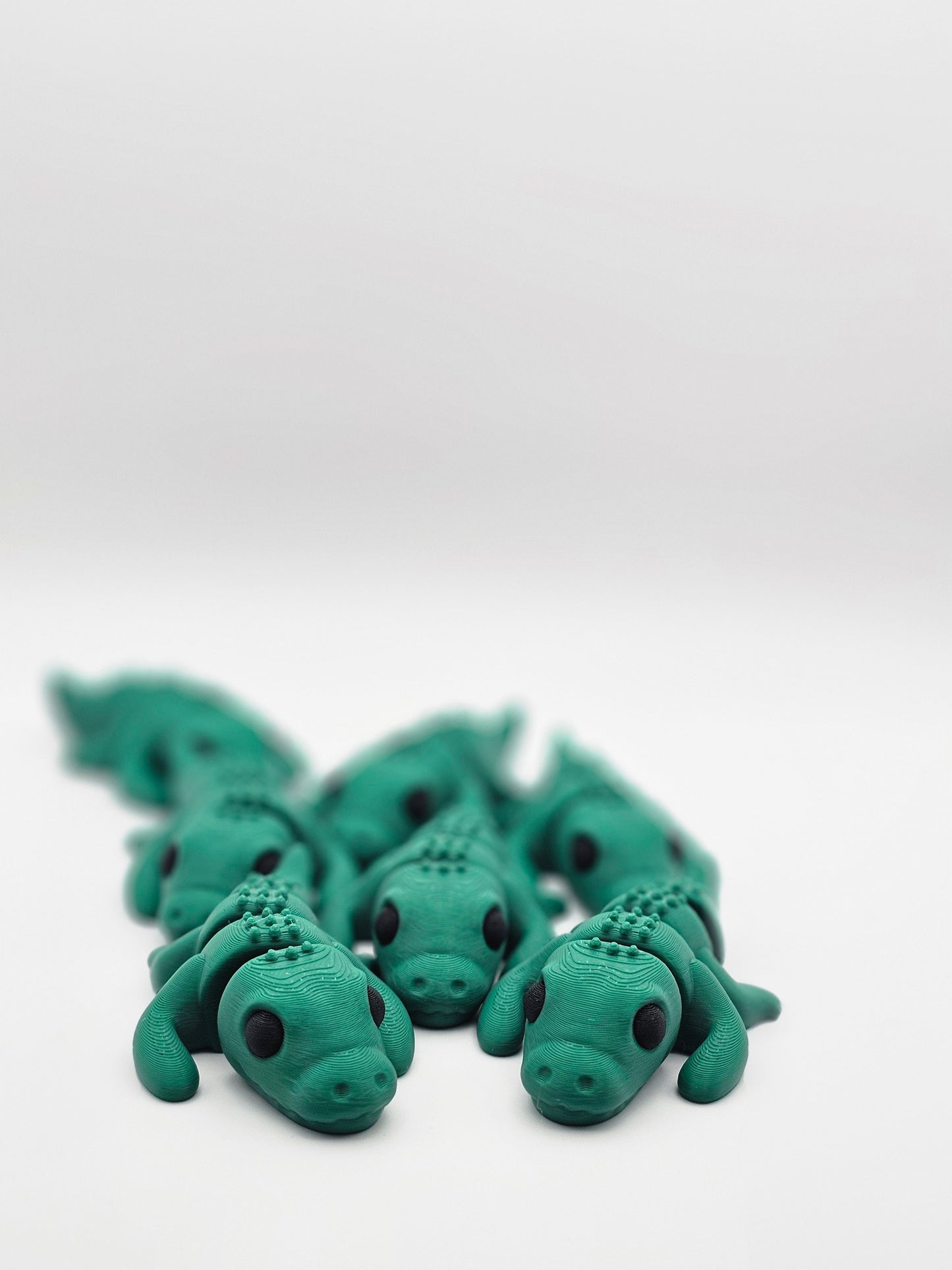 Baby Crocodile