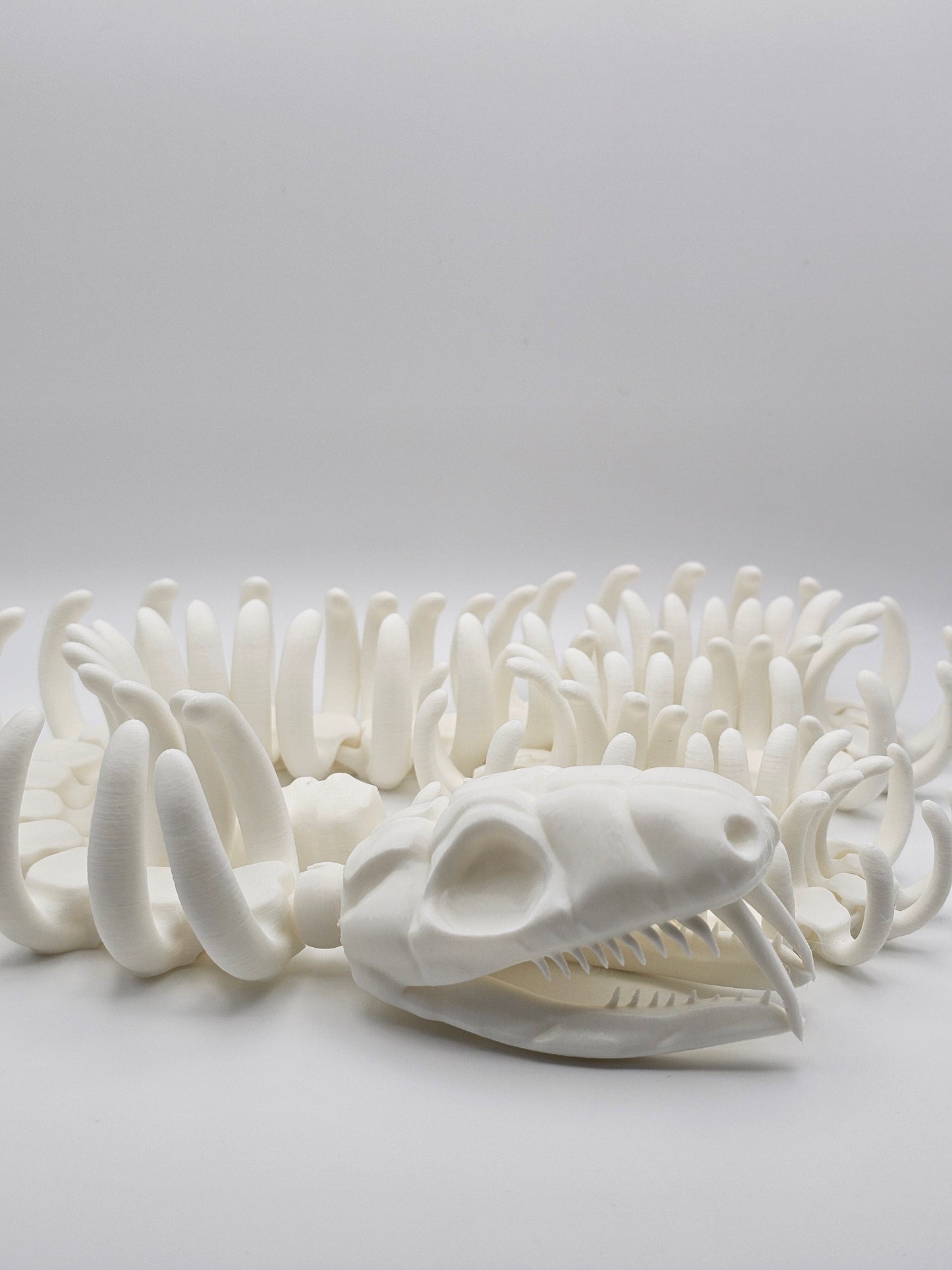 Skeleton Snake