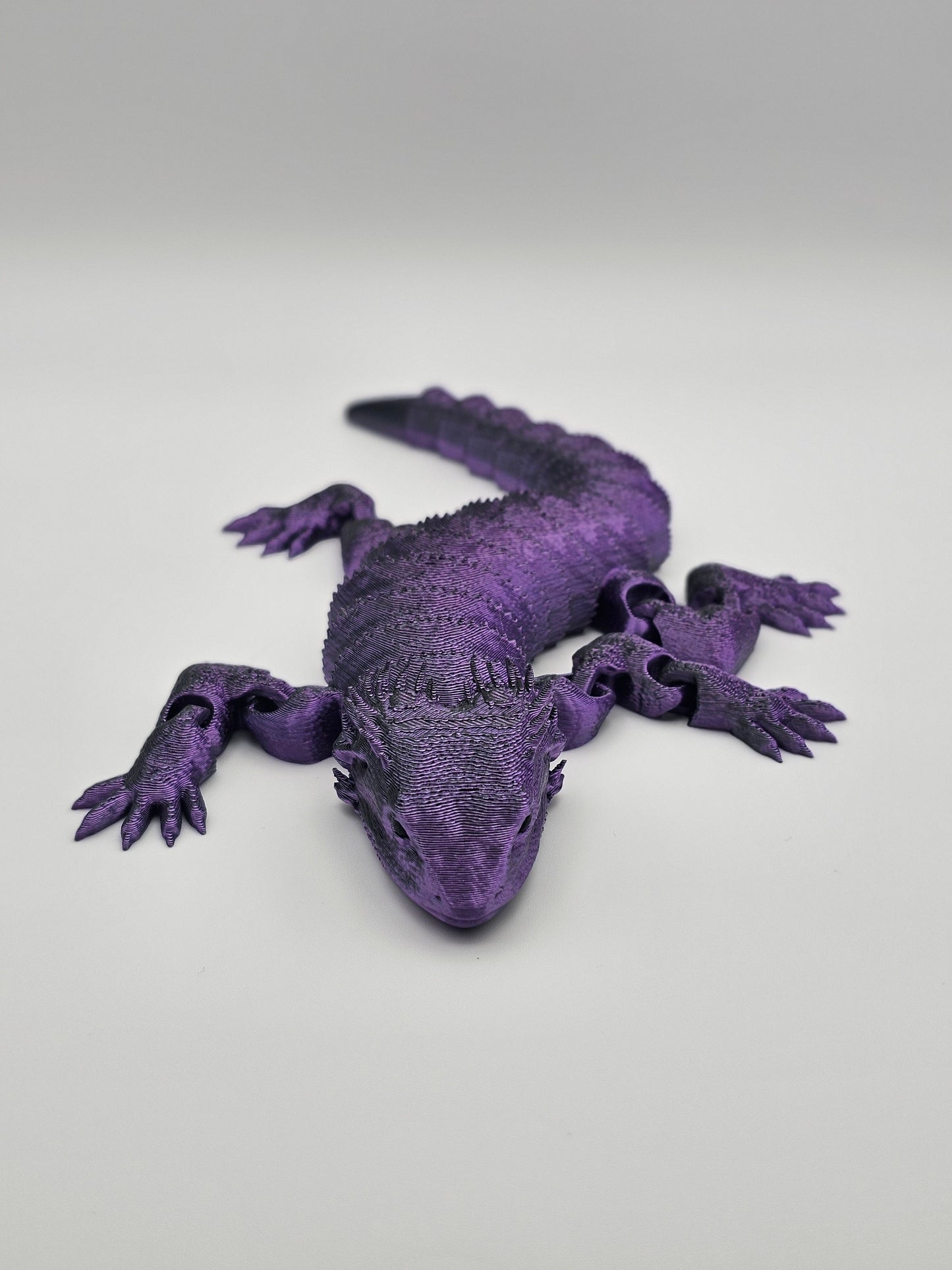 Bearded Dragon