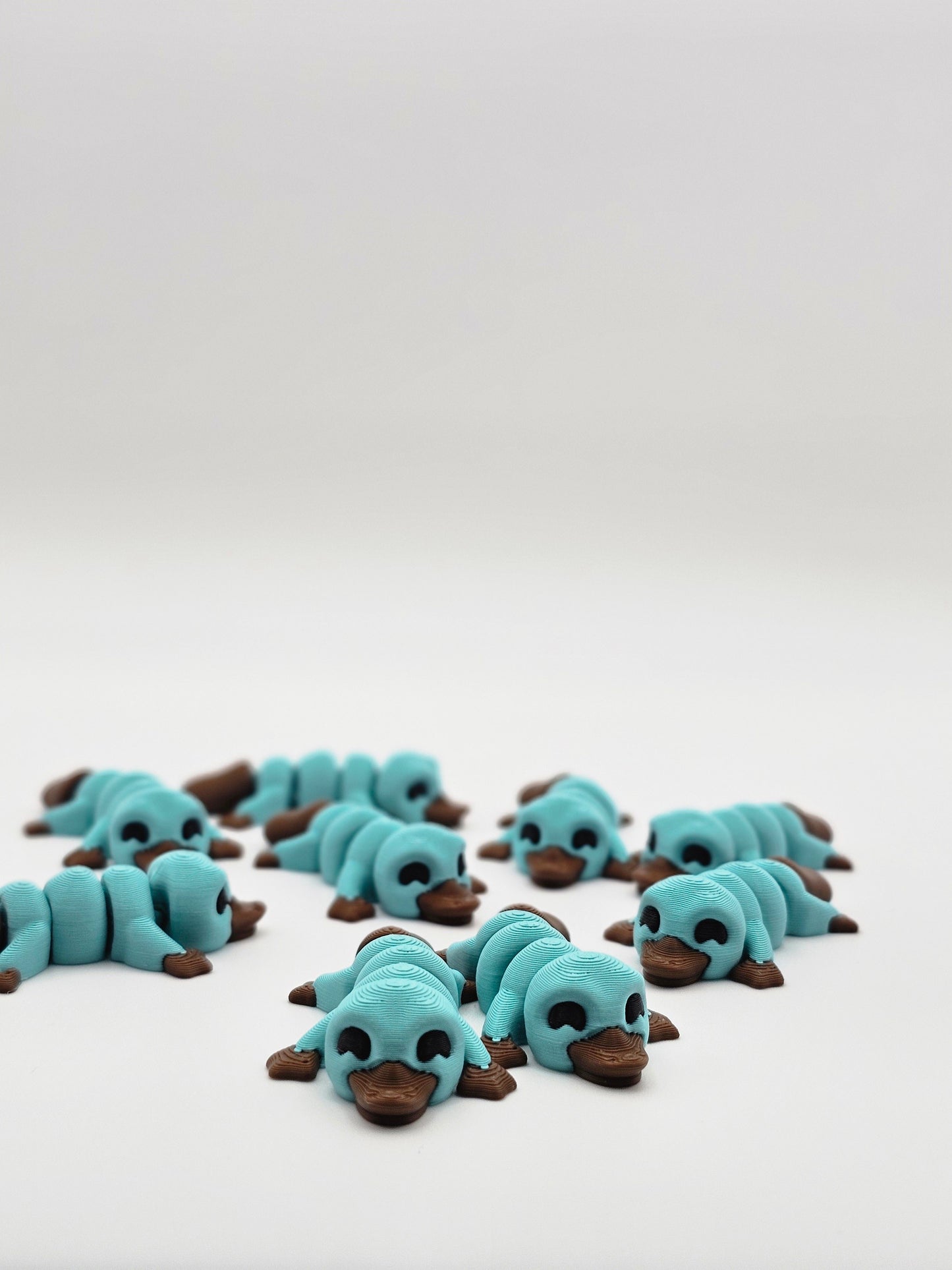 Mini Platypus