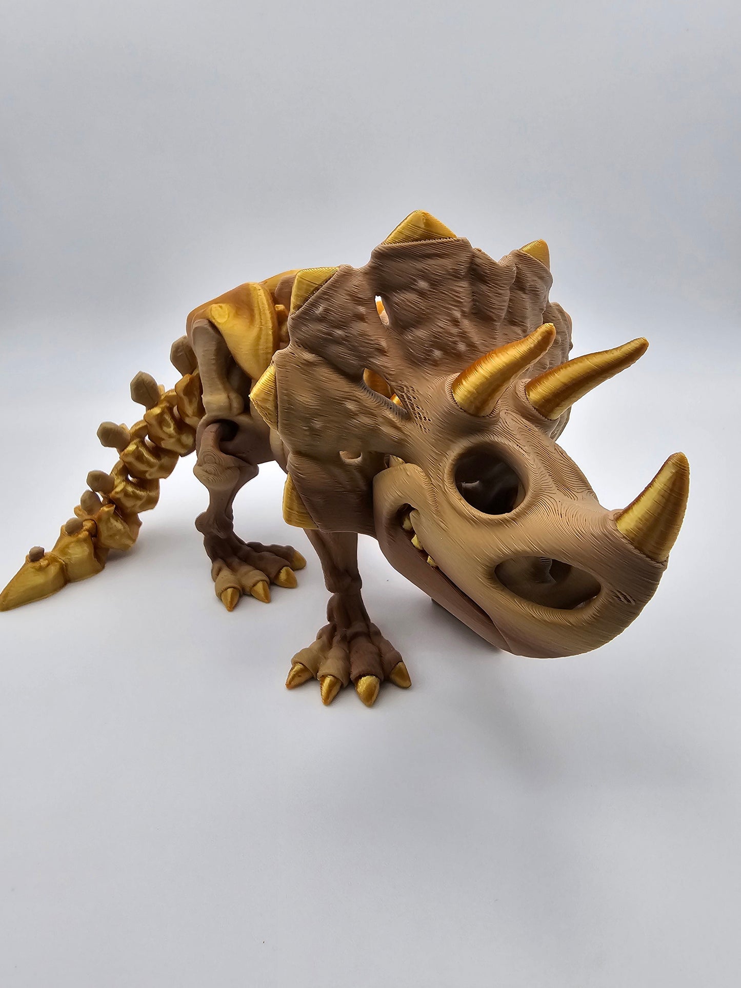 Skeleton Triceratops