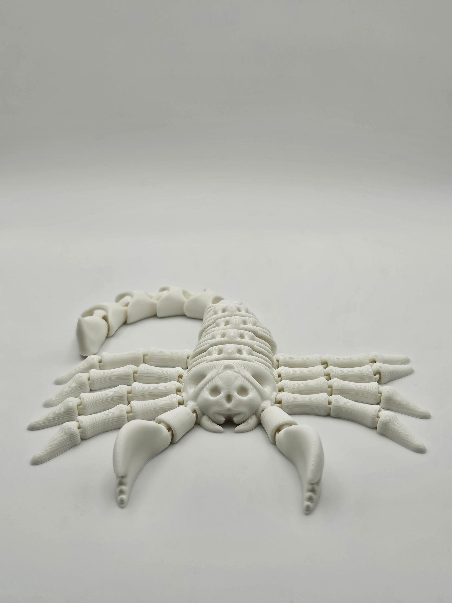 Skeleton Scorpion