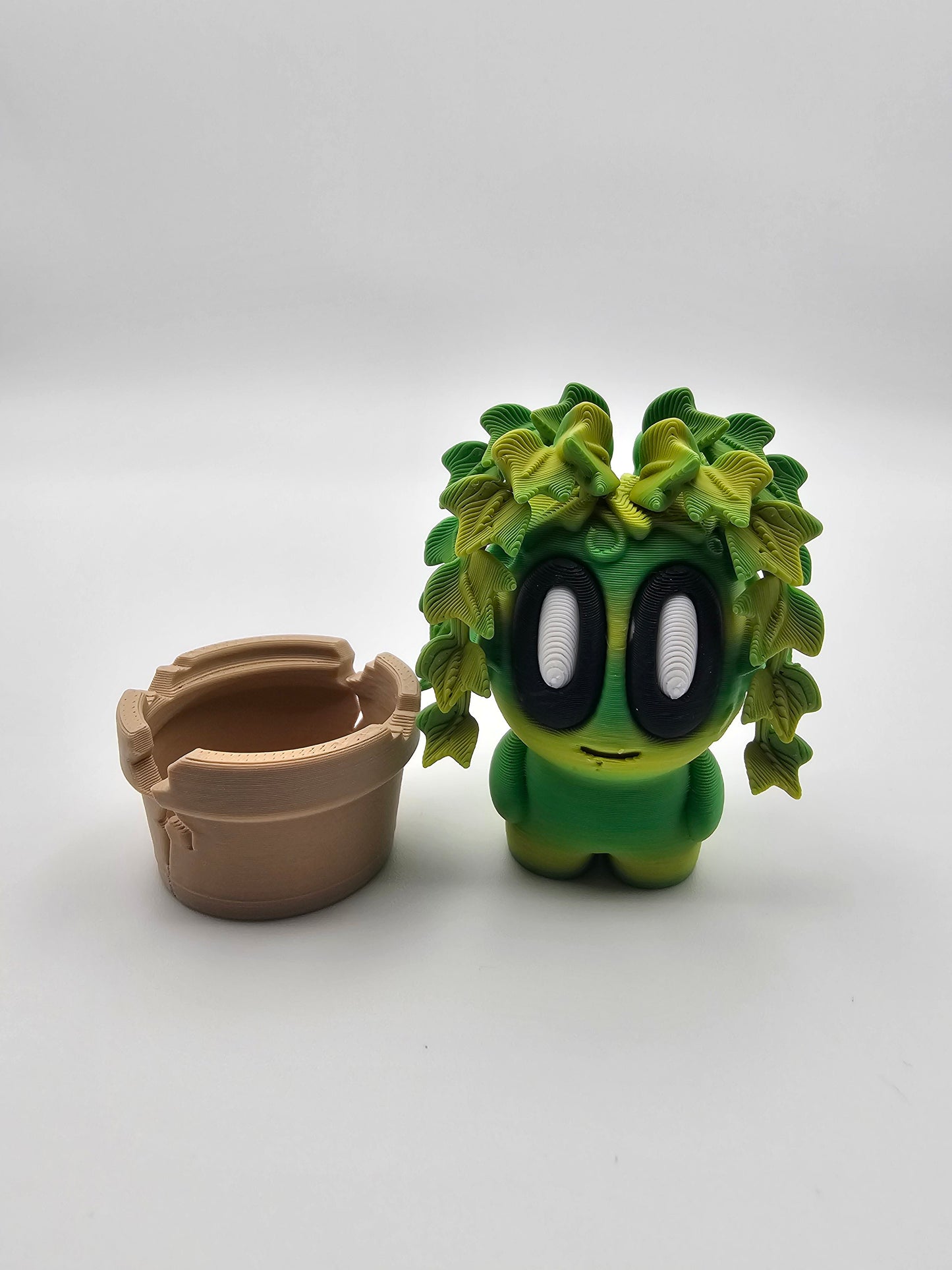 Ivy Plant