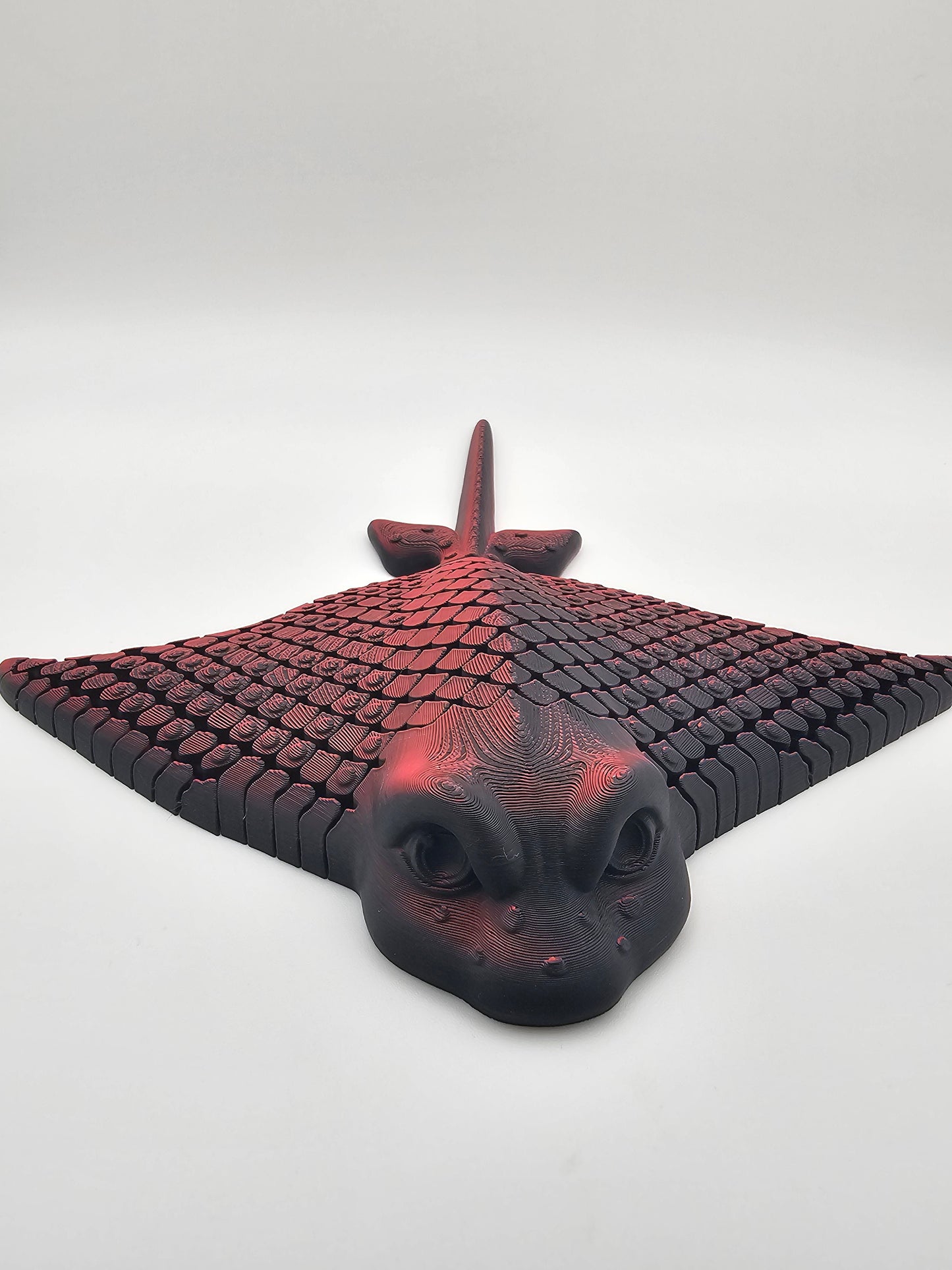 Shadow Eagle Ray