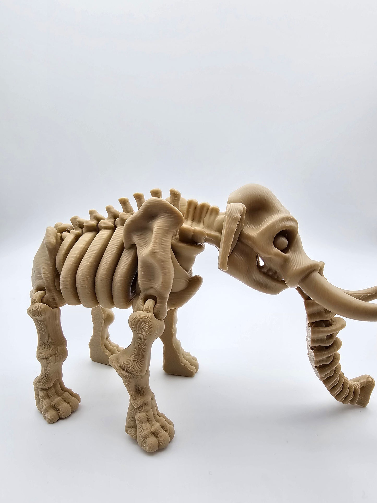 Skeleton Mammoth
