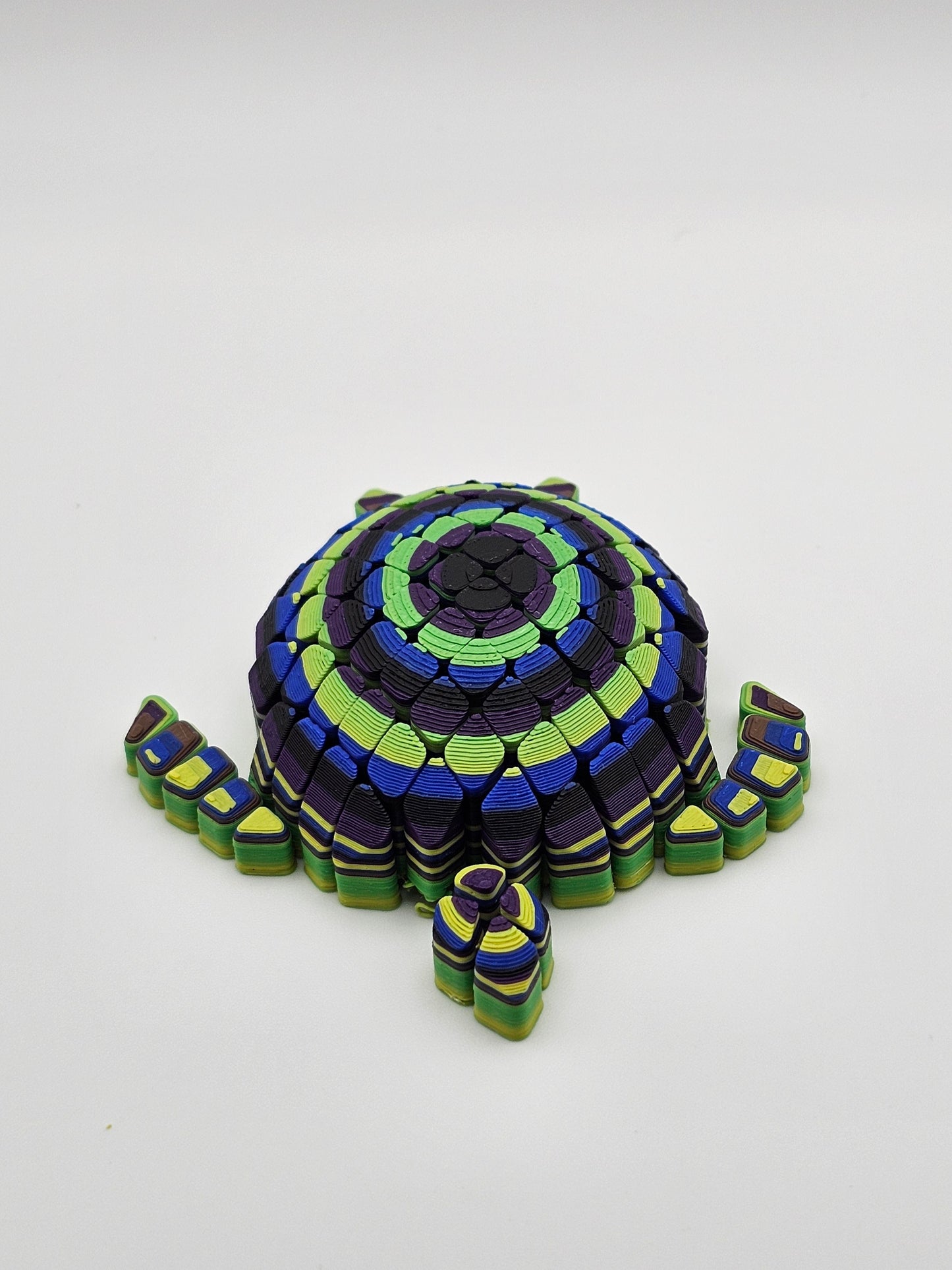 Timmy Turtle