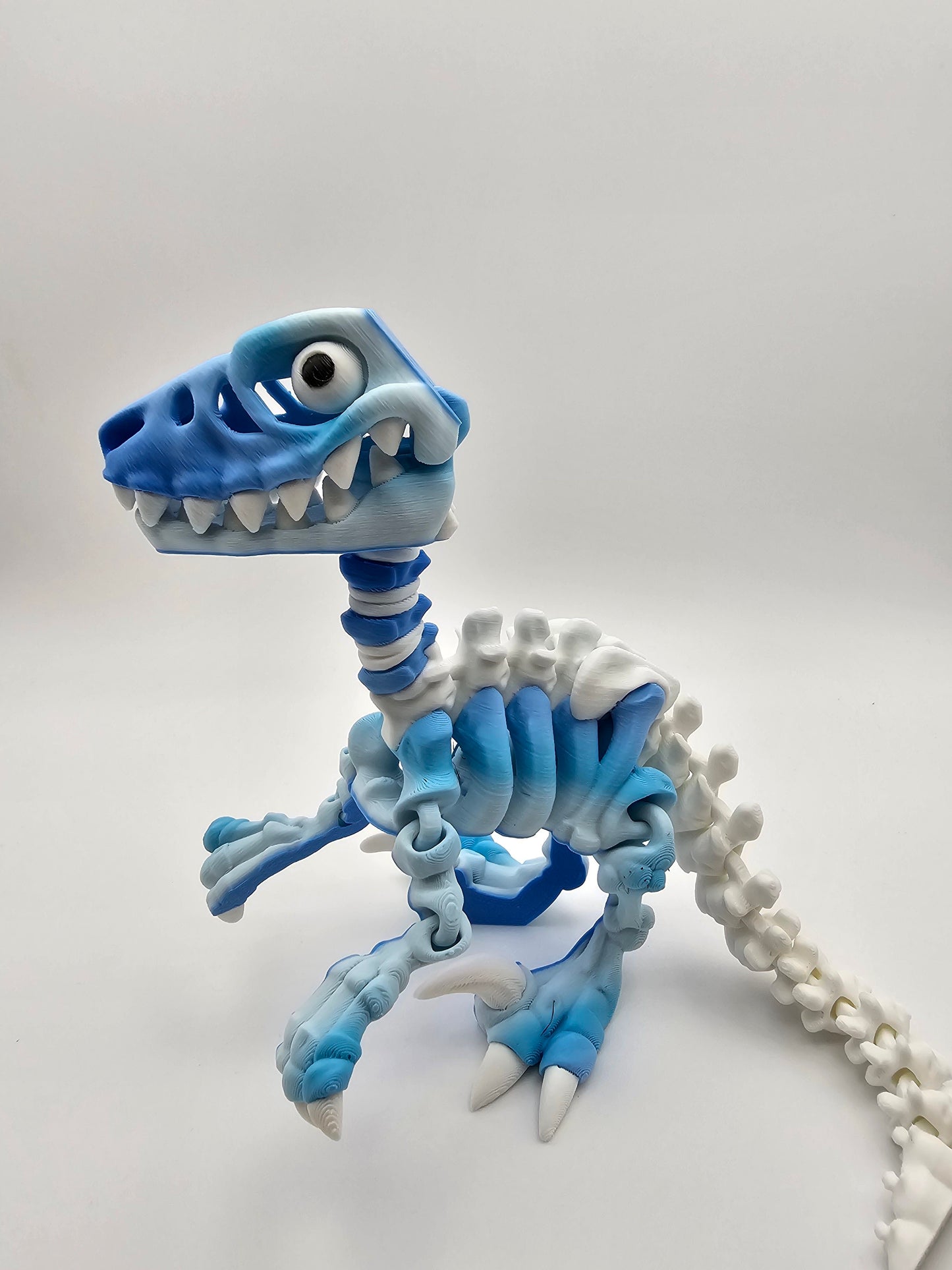Skeleton Raptor
