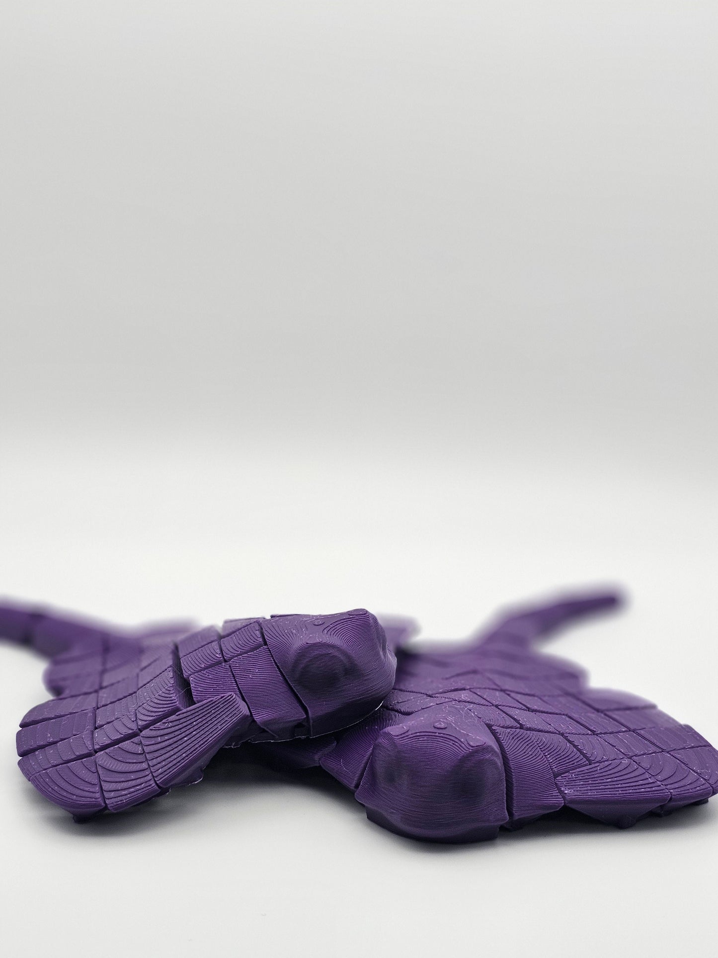 Flexi Ray