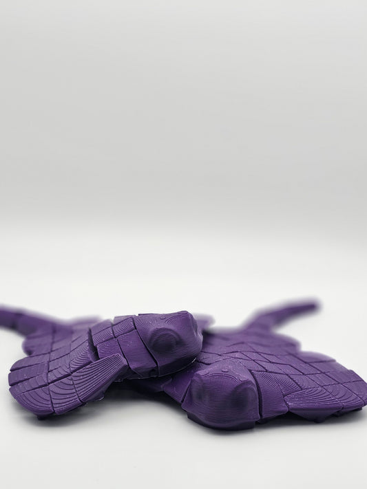 Flexi Ray