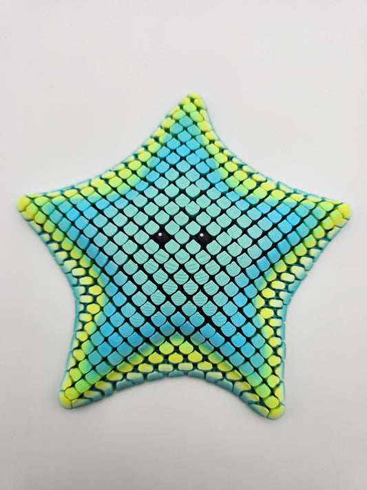 Betsi the sea star