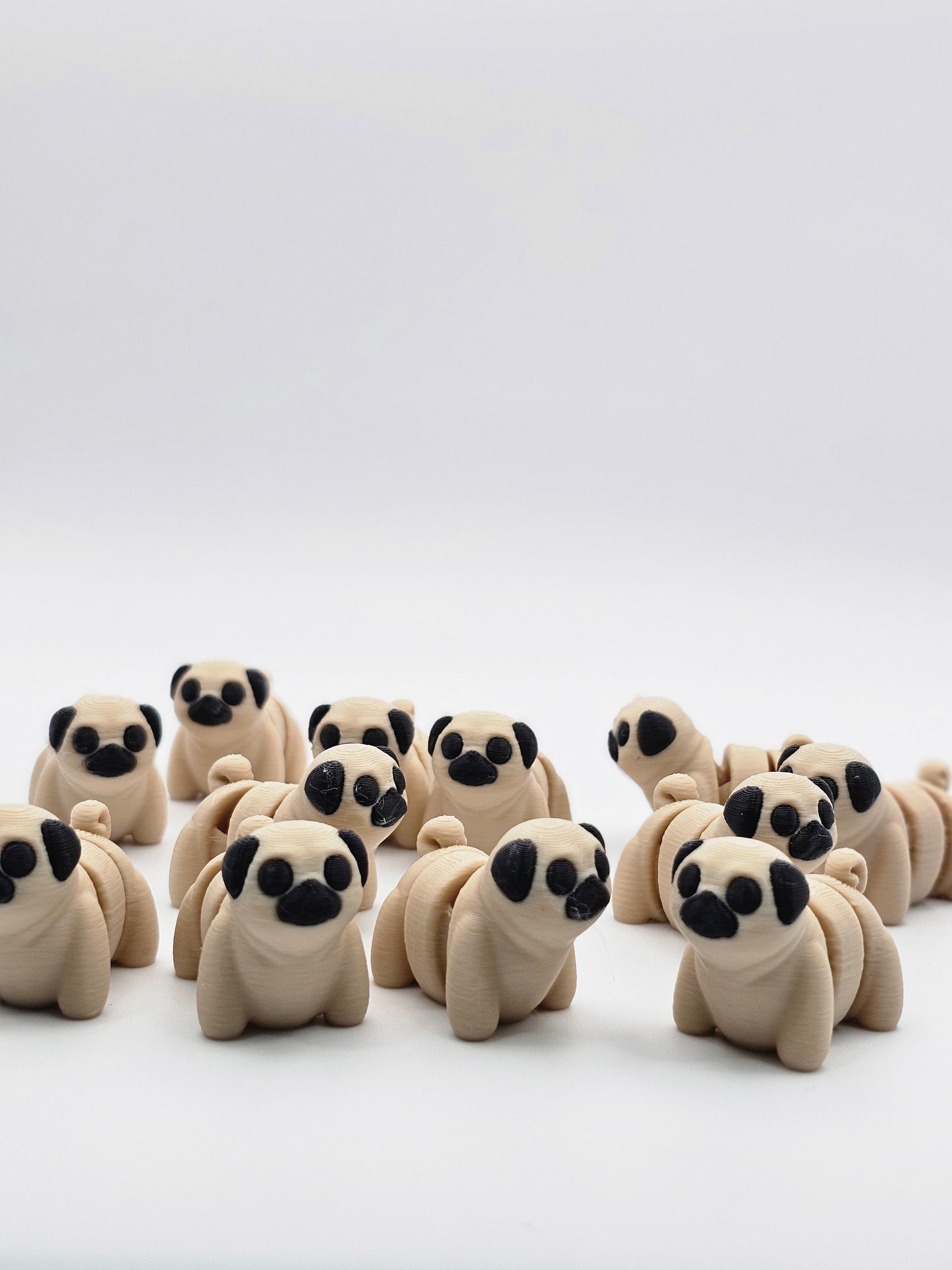 Mini Pug