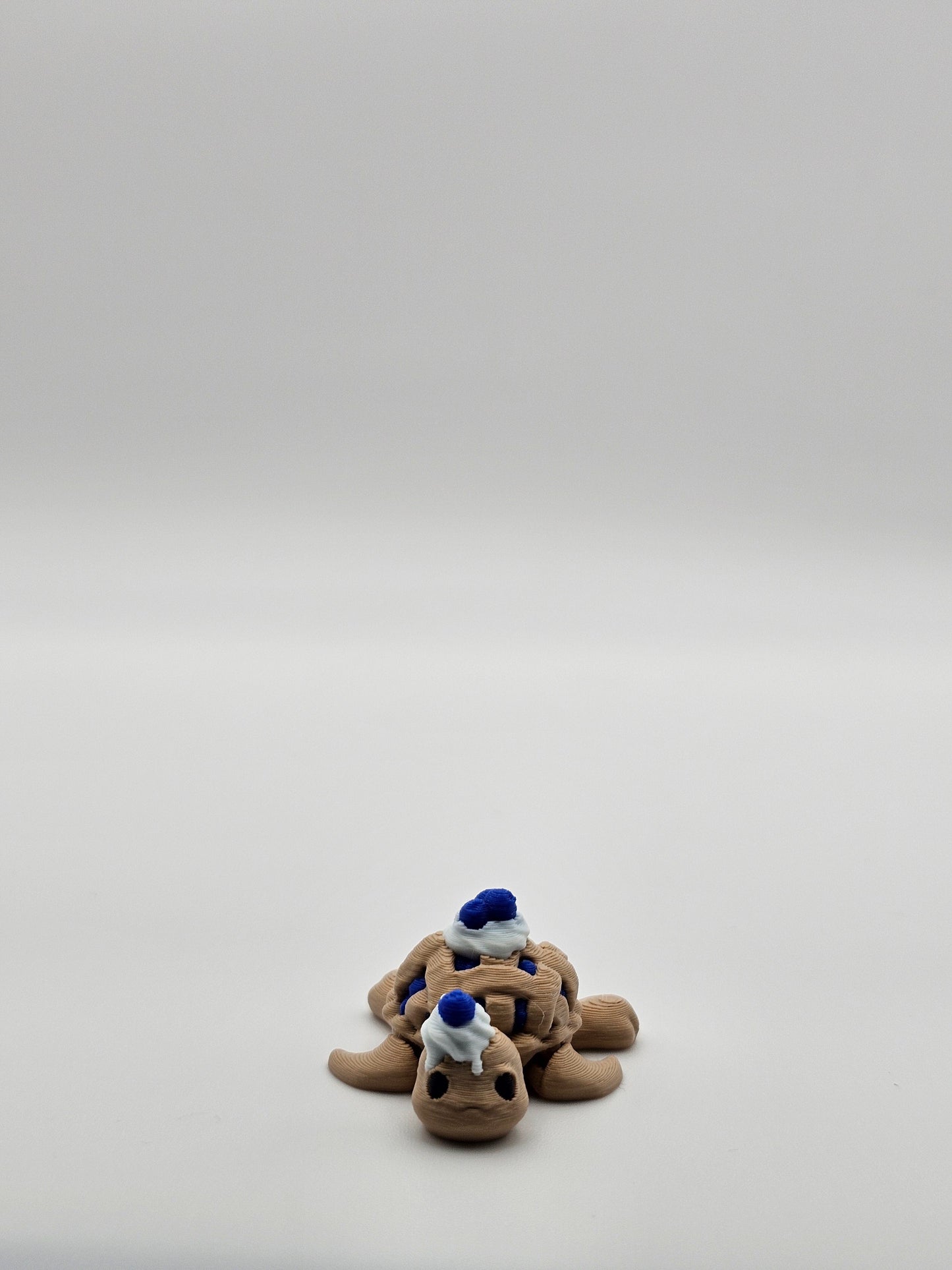 BlueBerry Turtle