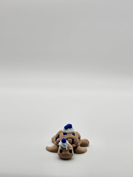 BlueBerry Turtle