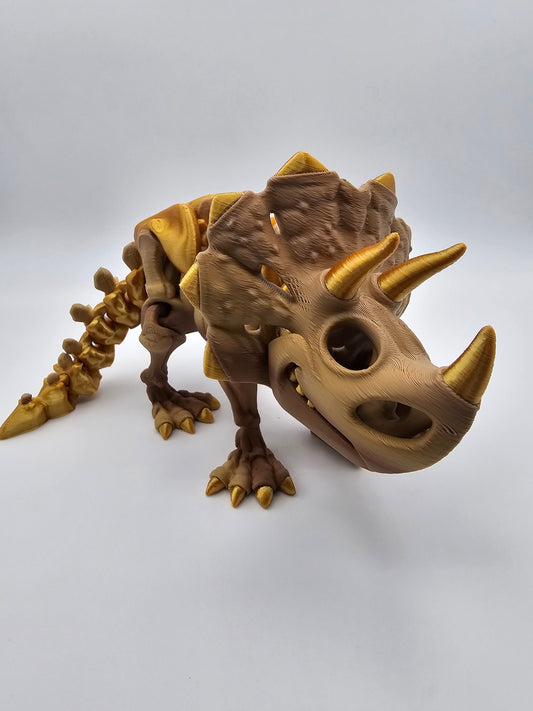 Skeleton Triceratops