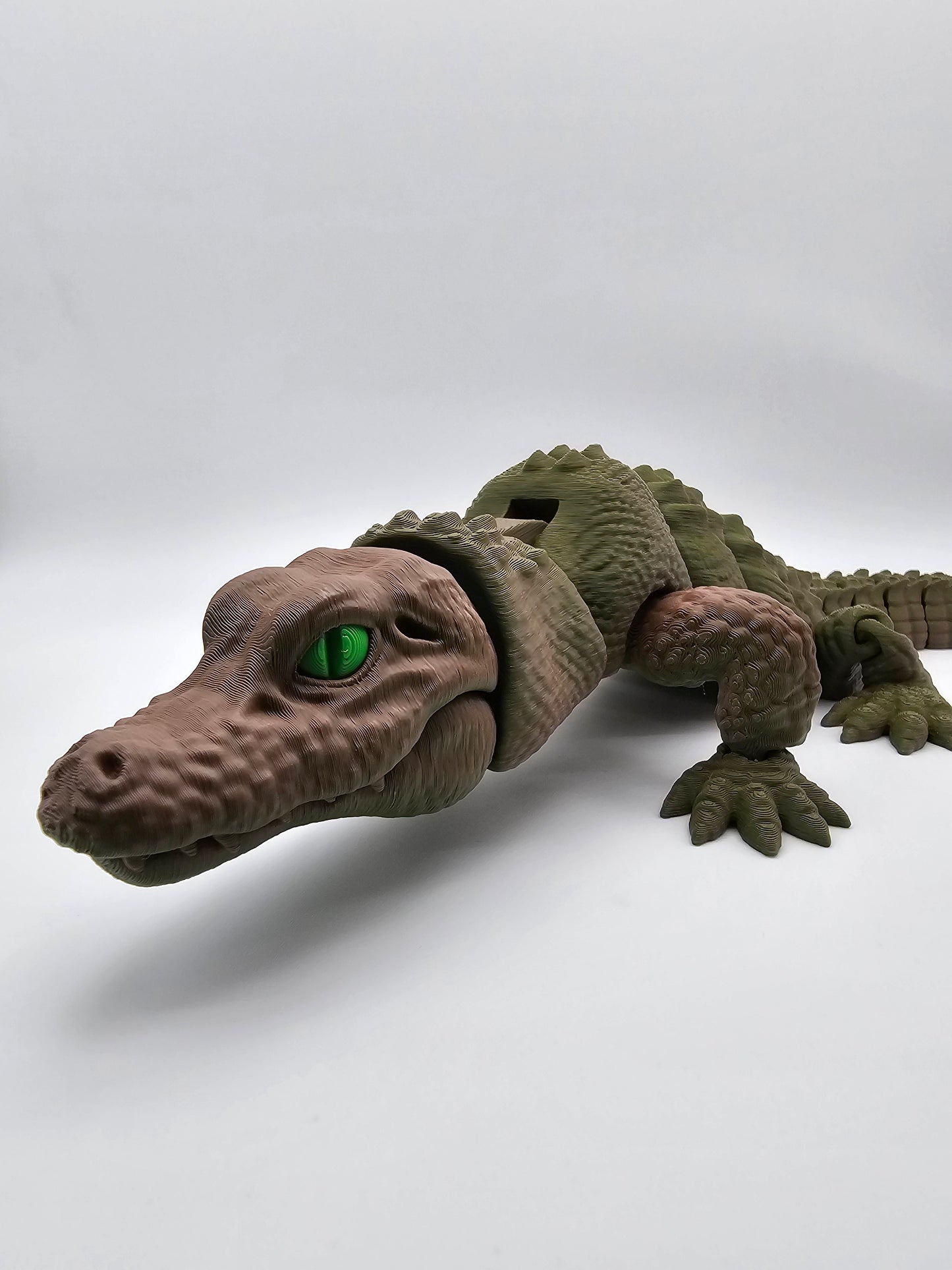 Alligator