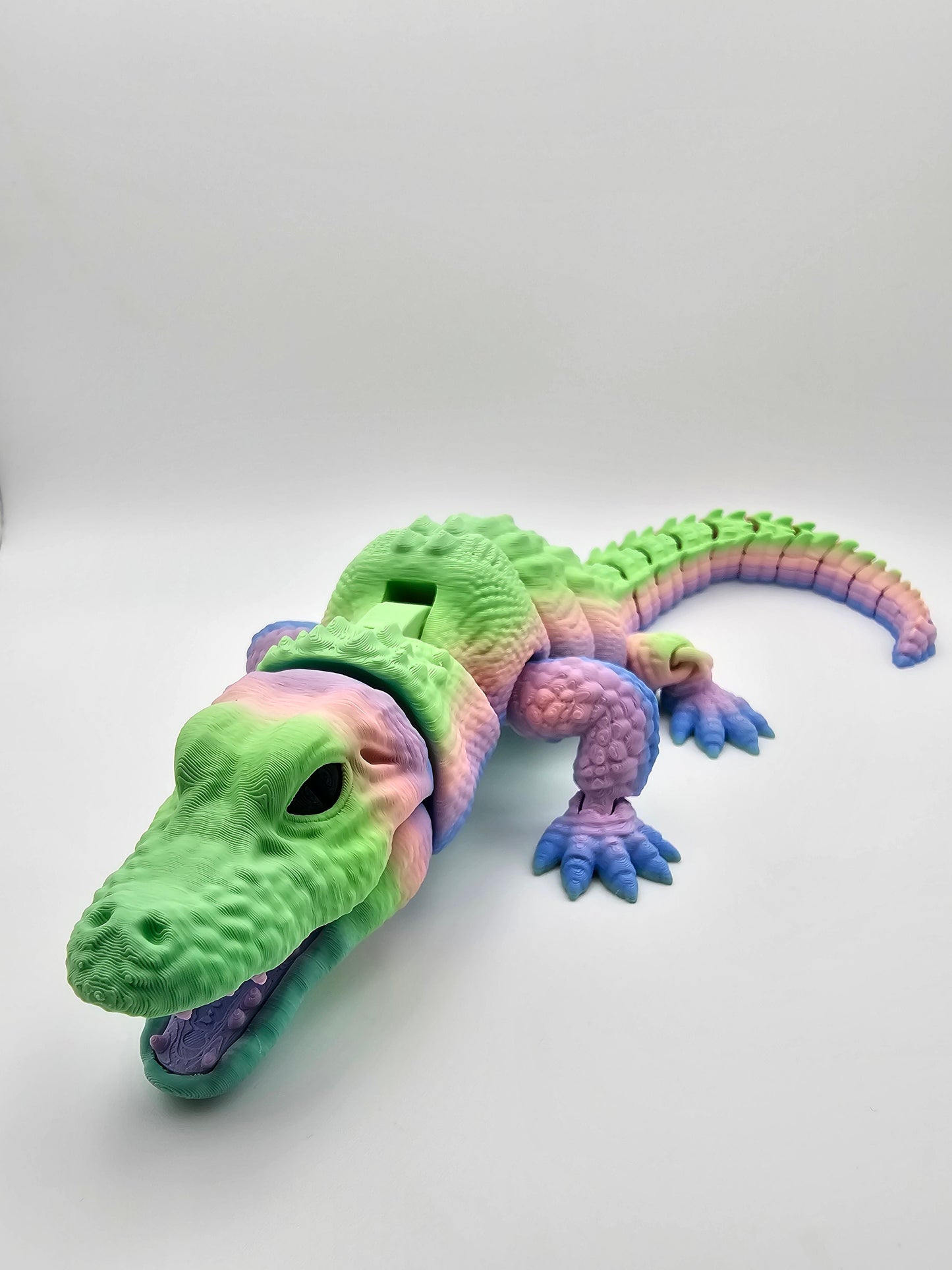 Alligator