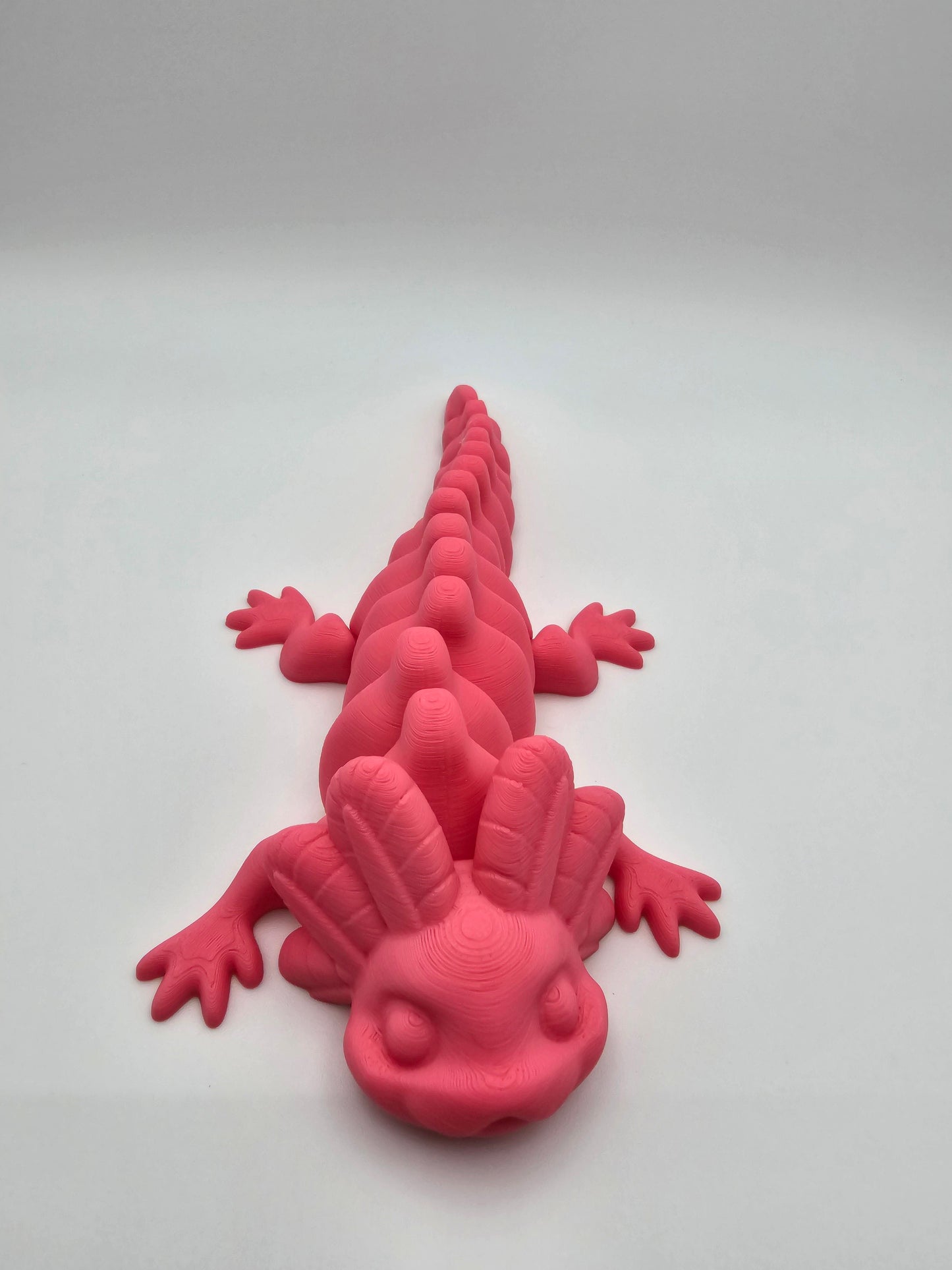 Gradient Axolotl