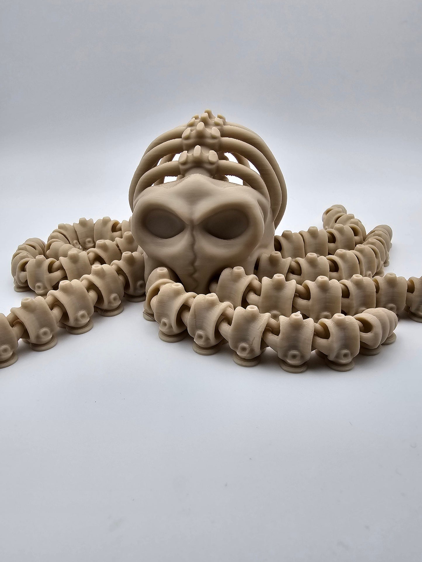 Skeleton Octopus