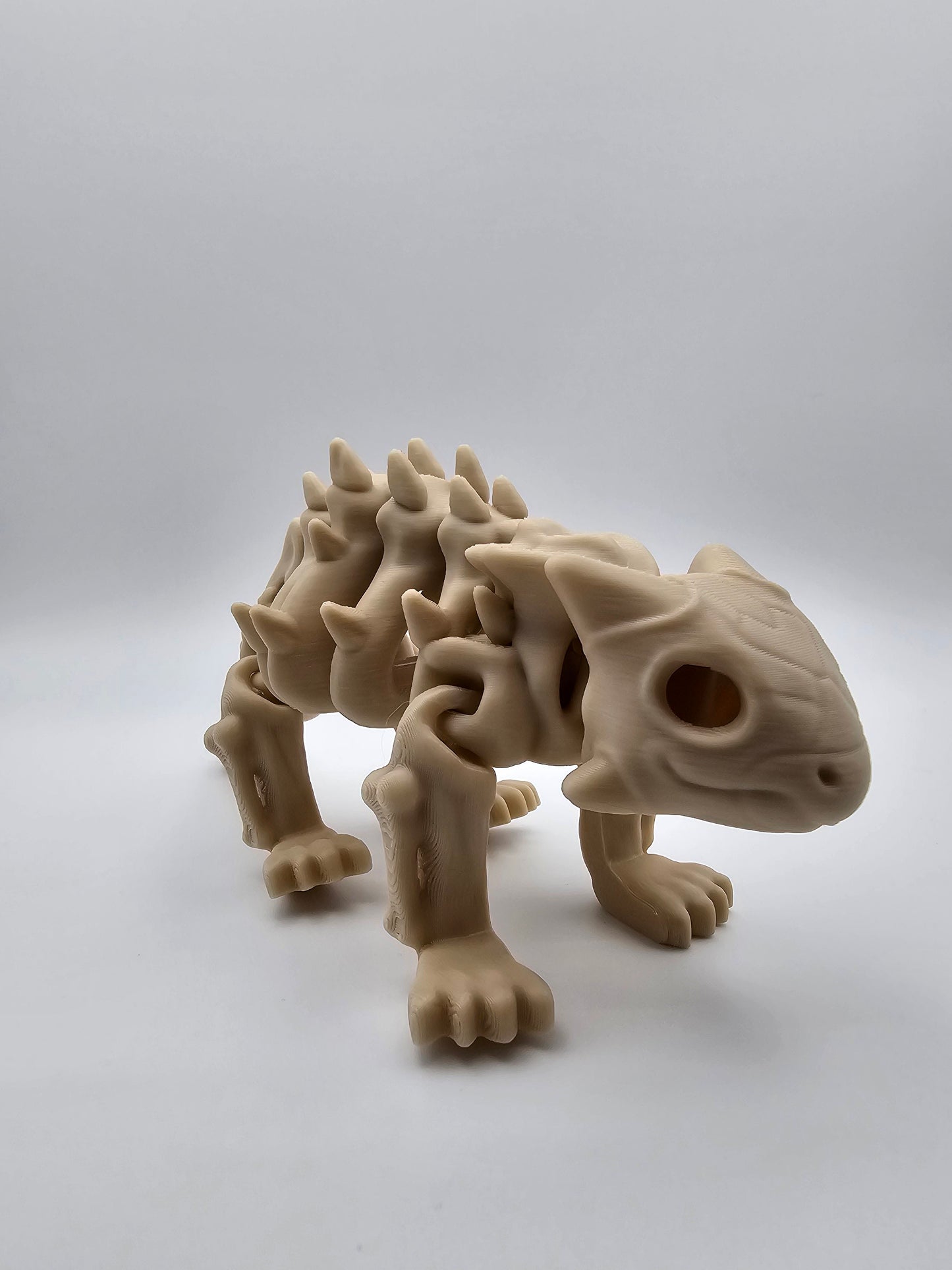 Skeleton Ankylosaurus