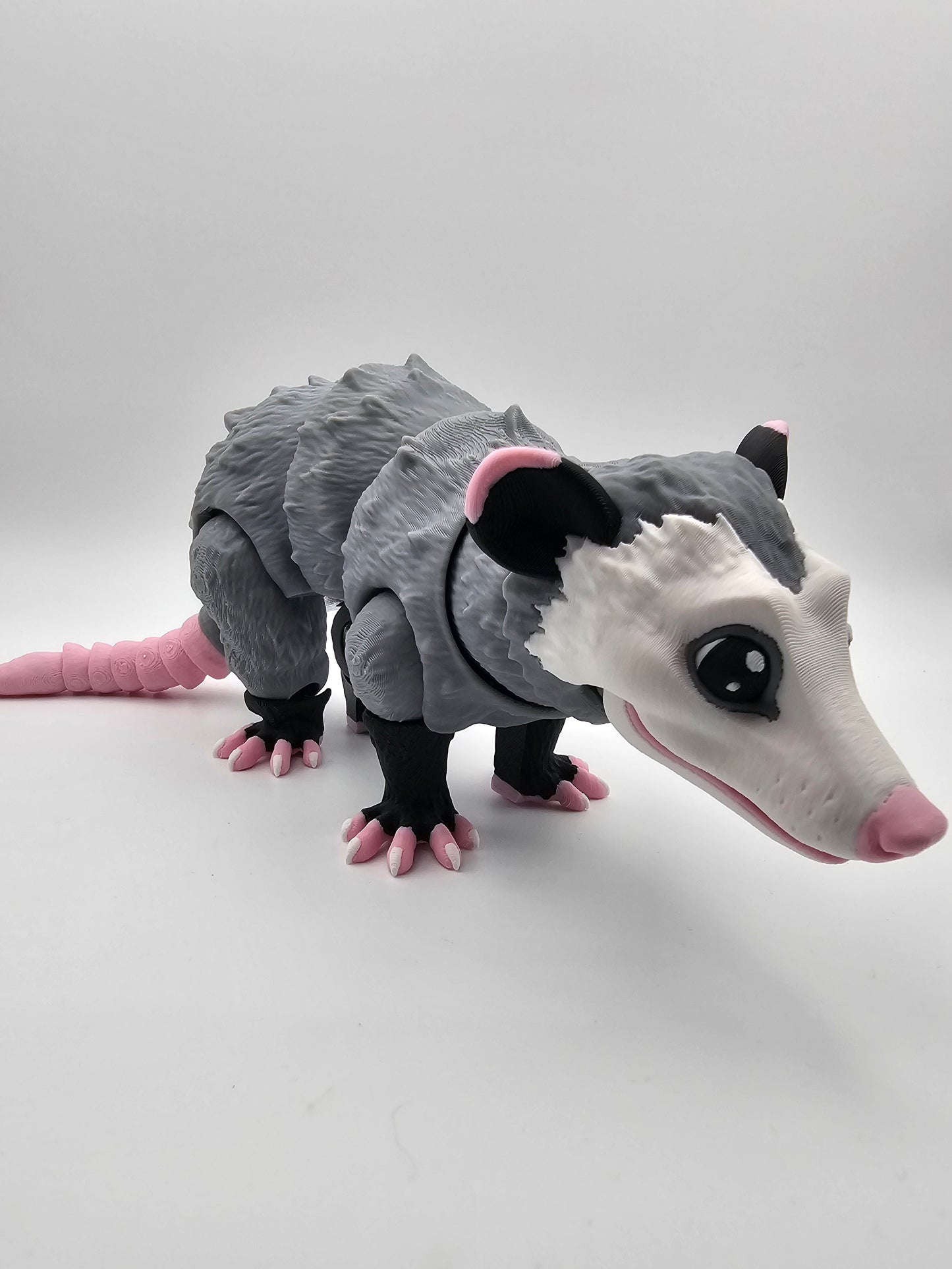 Opossum