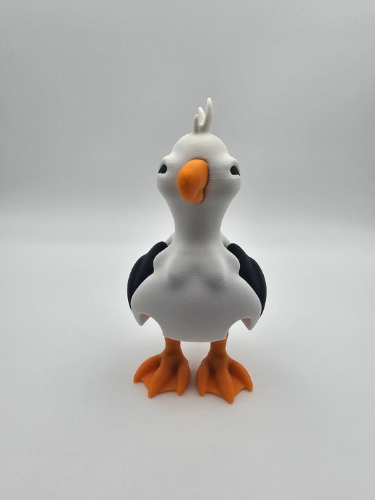 Seagull