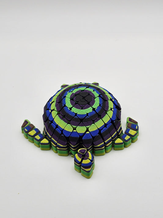Timmy Turtle
