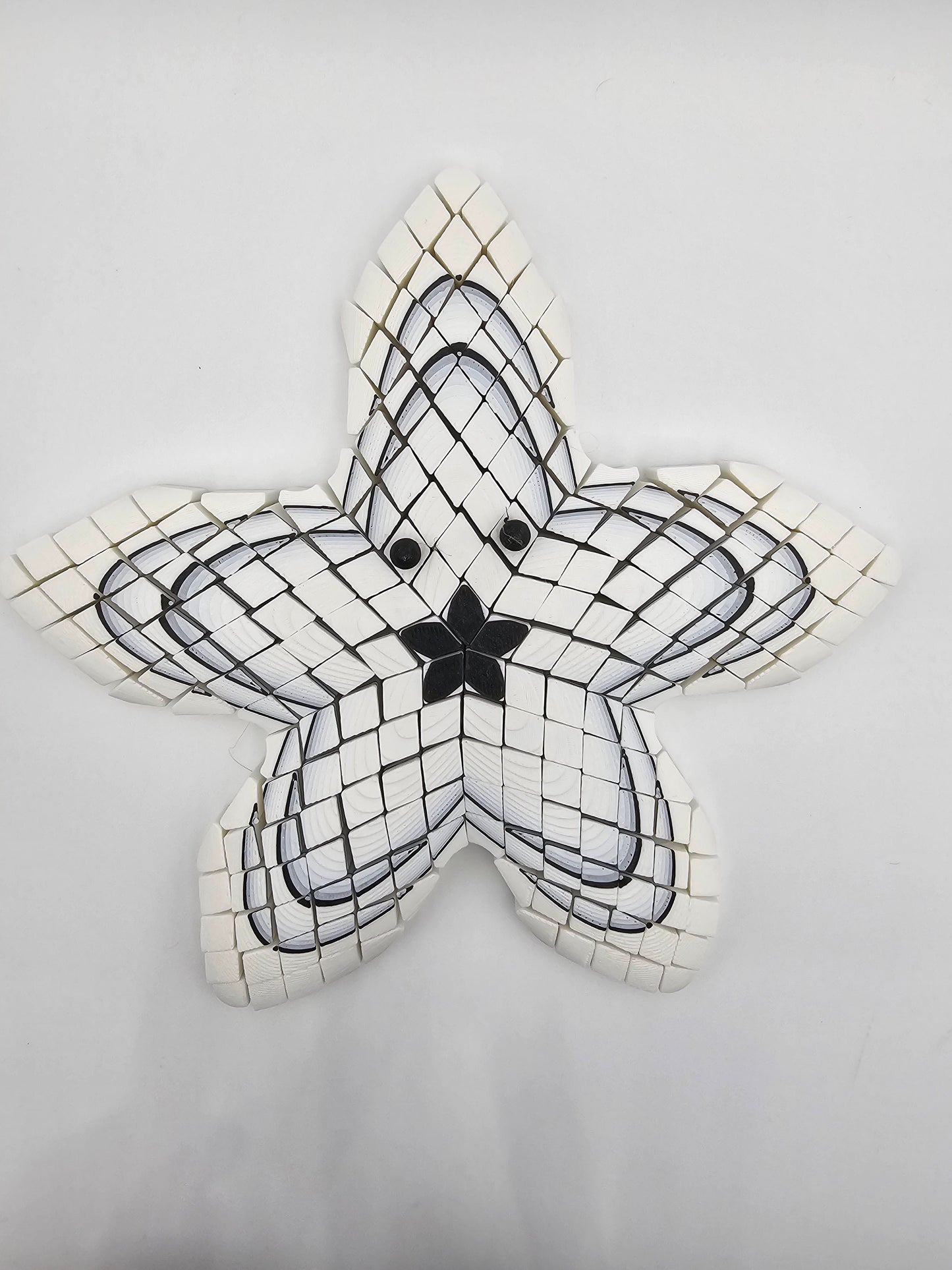 Sally Starfish