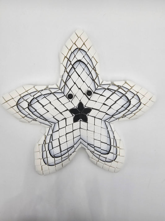 Sally Starfish