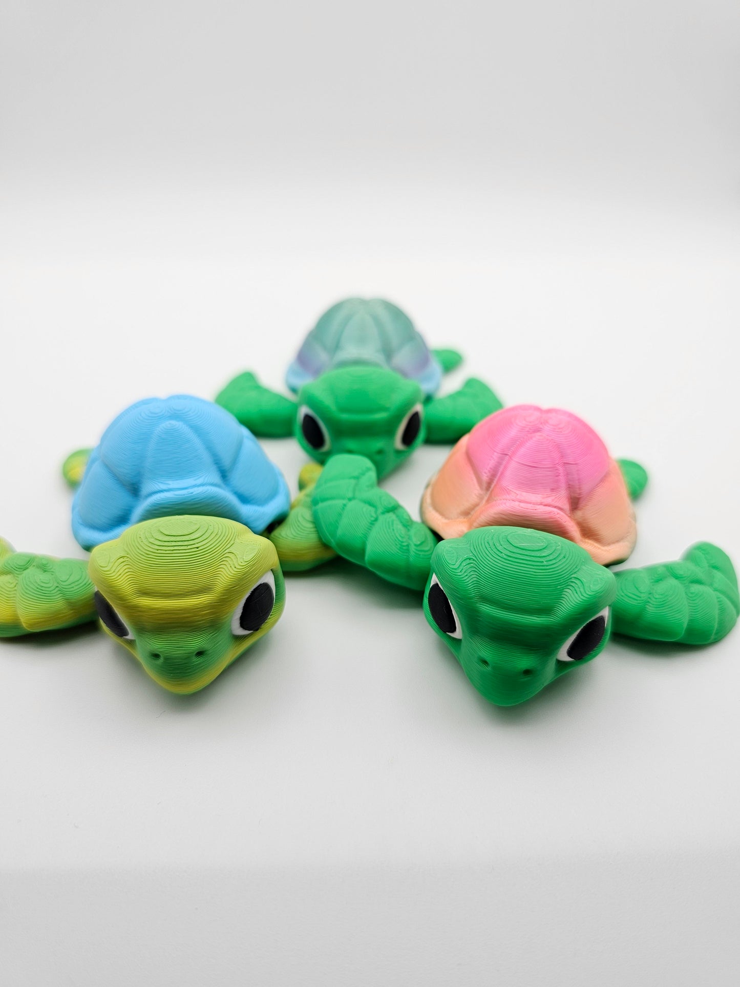 Turtle
